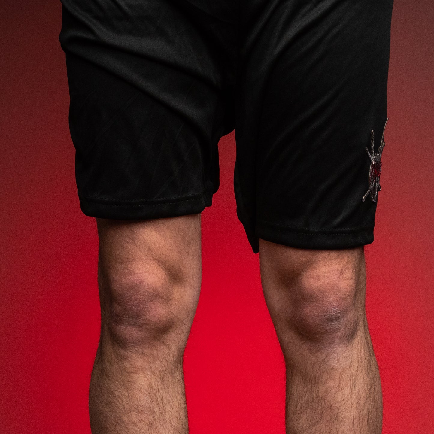CLOSEOUT: Miniac Shorts